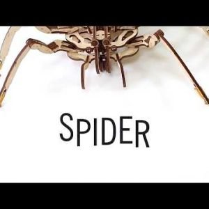 Spider from EWA