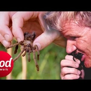 Gordon Ramsay Tries To Eat A Fried Spider In Cambodia | Gordon’s Great Escape