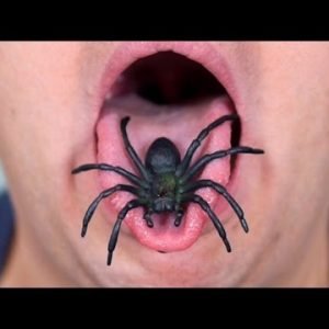 SPIDER IN MOUTH!