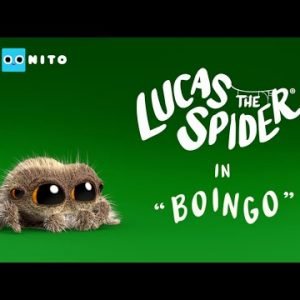 Lucas the Spider – Boingo – Short