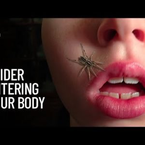 What If a Spider Crawled Into Your Body While You‘re Sleeping?