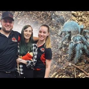 LET’S GO to the TARANTULA TAKEOVER SHOW!.. What I got/rehousing