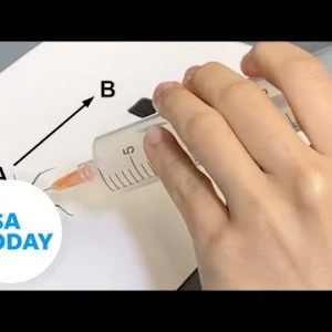Researchers reanimate dead spiders | USA TODAY