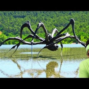 Giant spider from hell..