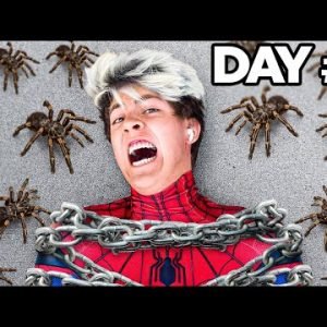 I Survived 50 Hours as Spider-Man – Challenge