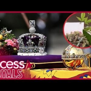 Spider Crawls On Queen Elizabeth’s Coffin At Funeral