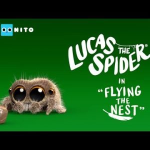 Lucas the Spider