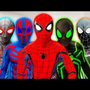 TEAM SPIDER-MAN Live Action Story IN REAL LIFE ( 1 Hour ) || Season 2