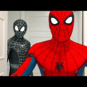 Spider-Man lives in the apartment | 30-Minute Compilation | FLAHO Classic