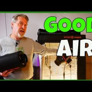 Ventilating a Grow Tent (Spider Farmer SF1000 Grow Tent Kit)