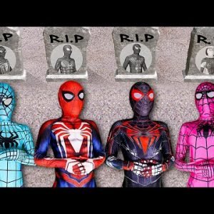 TEAM SPIDER MAN vs BAD GUY TEAM || RED SPIDER TURN INTO BAD HERO ( Live Action )