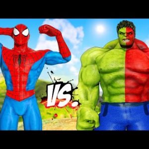 SPIDERMAN MUSCLE VS RED-GREEN HULK | SPIDER-MAN VS THE HULK