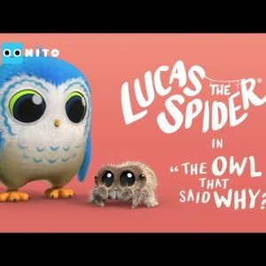Lucas the Spider _ The Owl That Said Why – Short