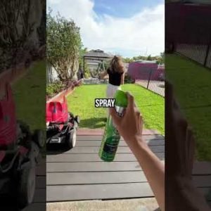Finding SPIDERS in STRANGERS HOMES in Australia! #shorts