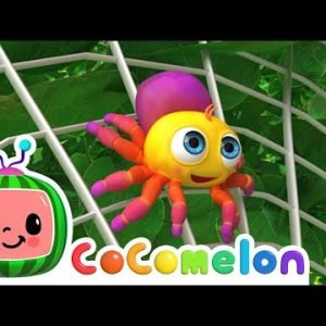 Itsy Bitsy Spider! | CoComelon Nursery Rhymes