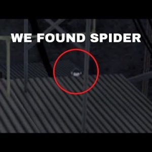 We Caught Spider in Gorilla Tag!