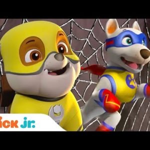 Superhero Rubble Saves Bunnies From Spider Web w/ PAW Patrol Skye! | Rubble & Crew