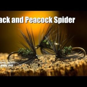 Black and Peacock Spider – classic wet fly tying