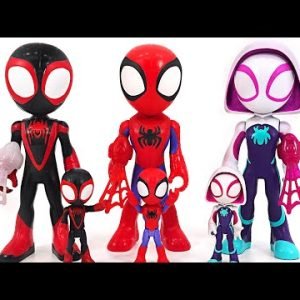 Marvel Spidey and His Amazing Friends Spider-Man! Transform into a giant! | DuDuPopTOY