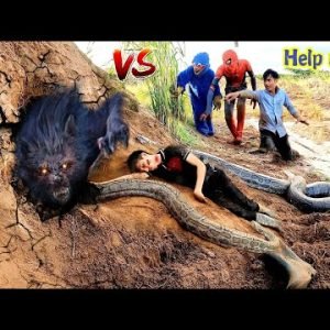Spider Man VS Carnivorous Monster and Giant Python 200kg To Save Man Was Attacked | Survival Hunter