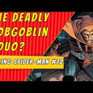 Hobgoblin Duo | Amazing Spider-Man #12