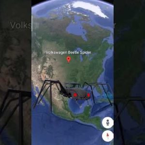 Volkswagen beetle spider on google maps and google earth🌍 #shorts #earthjourney2m