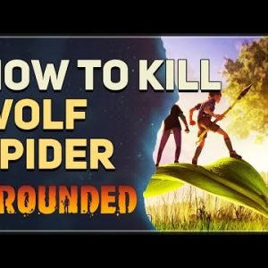 How to kill Wolf Spider Grounded