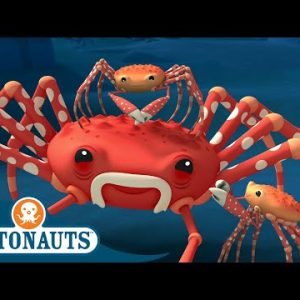 @Octonauts – The Spider Crab | Full Episode 45 | Cartoons for Kids | Underwater Sea Education