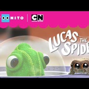 Hide n’ Seek with Lucas | Lucas the Spider | Cartoonito