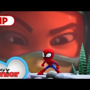 Itsy-Bitsy Spiders | Marvel’s Spidey and his Amazing Friends | @disneyjunior