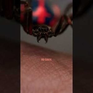 Casting the Eight-Legged Star: The Makeup-Transformed Spider of Spider-Man #short #shorts #marvel