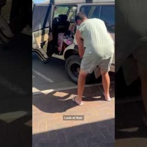 Dad removes huge huntsman spider from daughter’s foot
