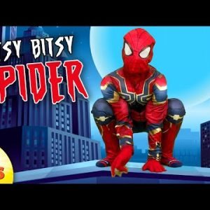 The Zoogies – Itsy Bitsy Spider | Spiderman Version