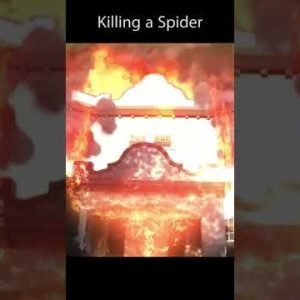 Killing a Spider #shorts