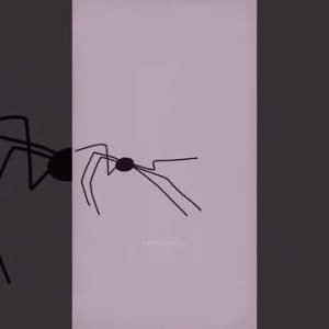 Animated spider throws it’s baby into the sky and starts dancing