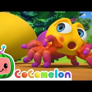 Itsy Bitsy Spider | CoComelon Nursery Rhymes & Animal Songs