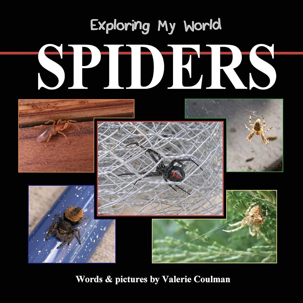 Exploring the World of Tiny Spiders