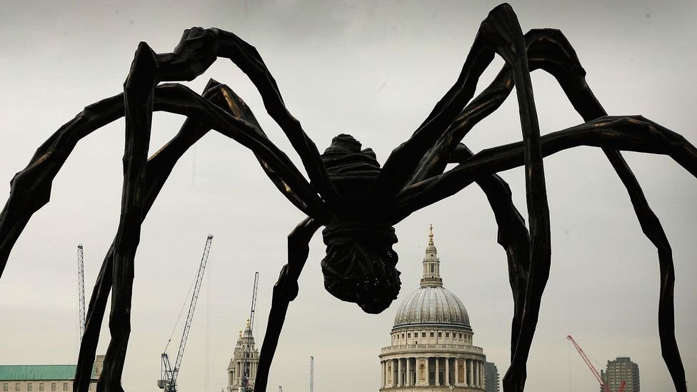 Unveiling the World of Giant Spider Species