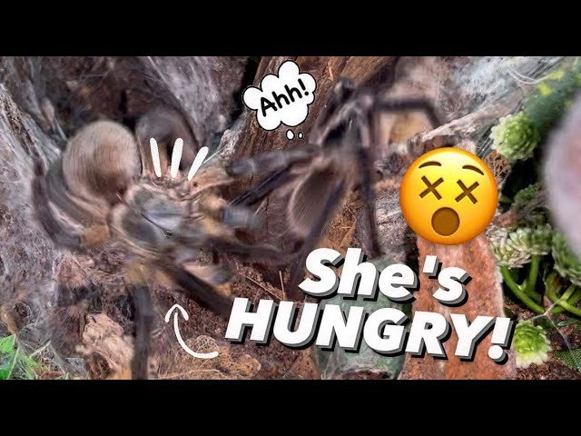 i think SHE WAS HUNGRY !!! 😵