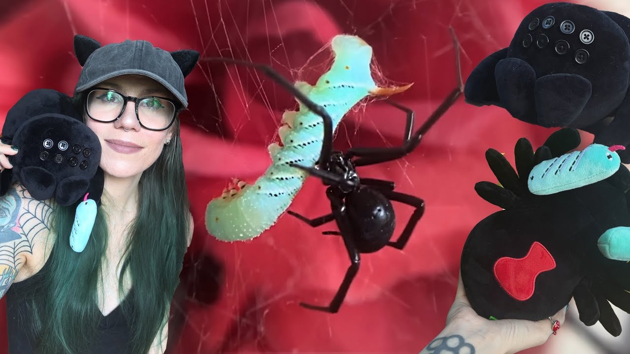 Are Black Widows TERRIBLE Pets?! *LIMITED* Binx Plushies! BITES?! Feeding? FULL BEGINNER Care Guide!