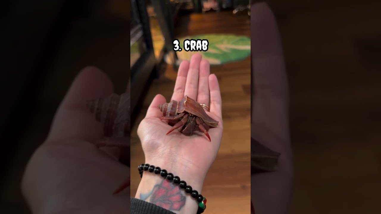 If you had to hold one ..