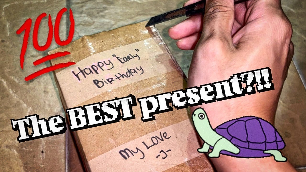 The BEST GIFTS for a Tarantula Keeper’s BIRTHDAY!!! ~ It’s 2am!!!
