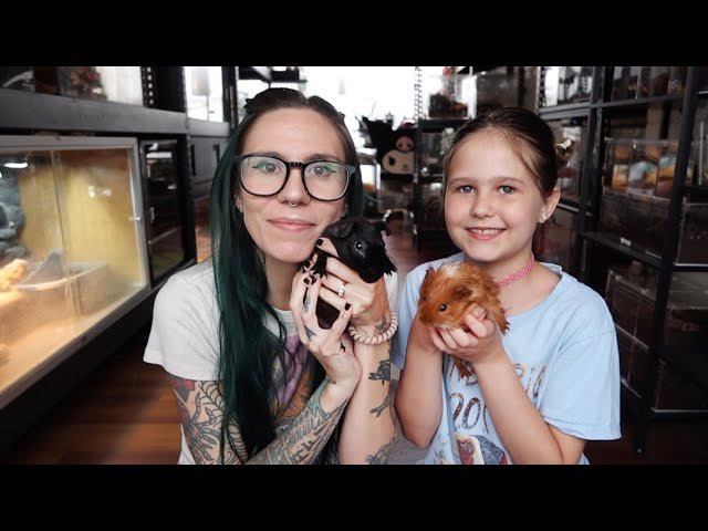 DON'T BUY YOUR KID A GUINEA PIG!!!.. before watching this