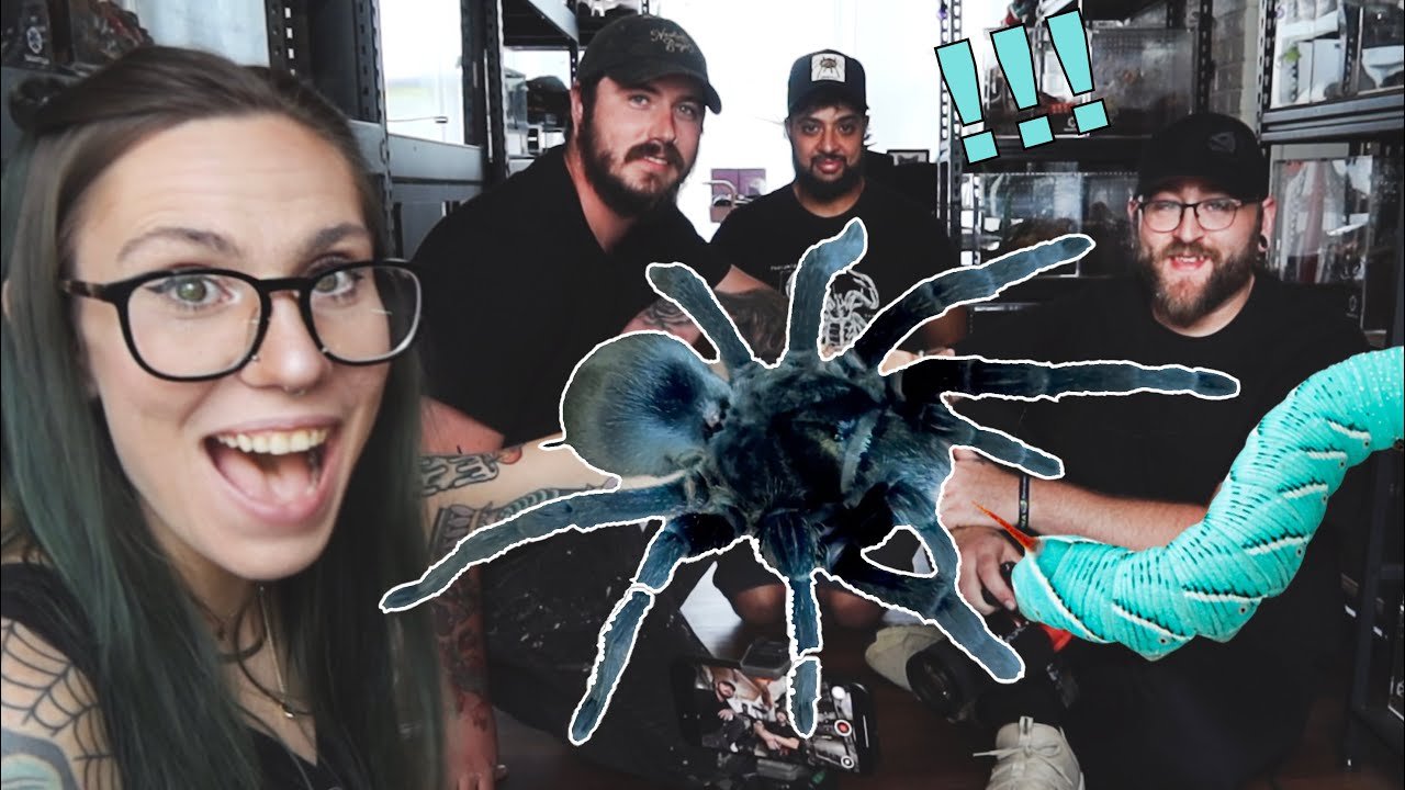 He’s so scared!! Forcing Jay Tomsky to FEED MY SPIDERS!