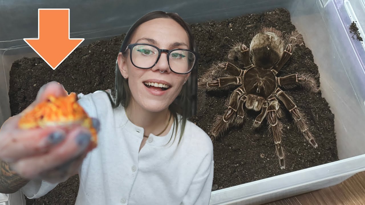Come To Work With Me & Meet My NEW PET!!