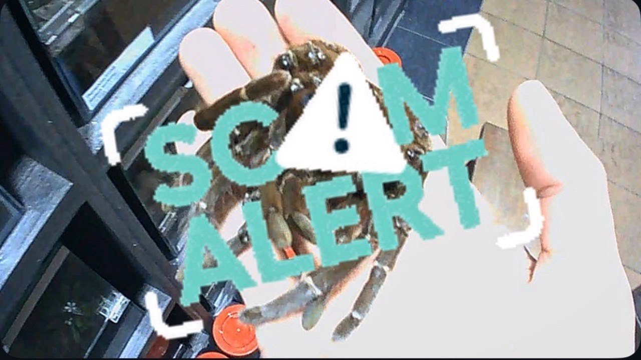 Guys, I think I got SCAMMED. Oh well..