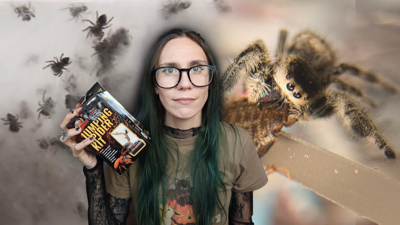 Petsmart’s MESSY Jumping Spider Controversy + Testing the NEW JUMPING SPIDER KIT!