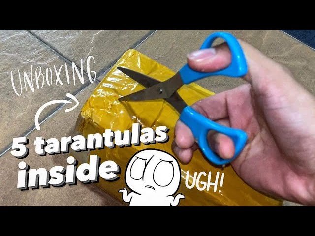 Call me impatient, whatever.. but these TARANTULAS WERE SO FRUSTRATING !!!