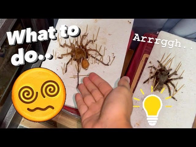 I’m out of ideas. 🥲