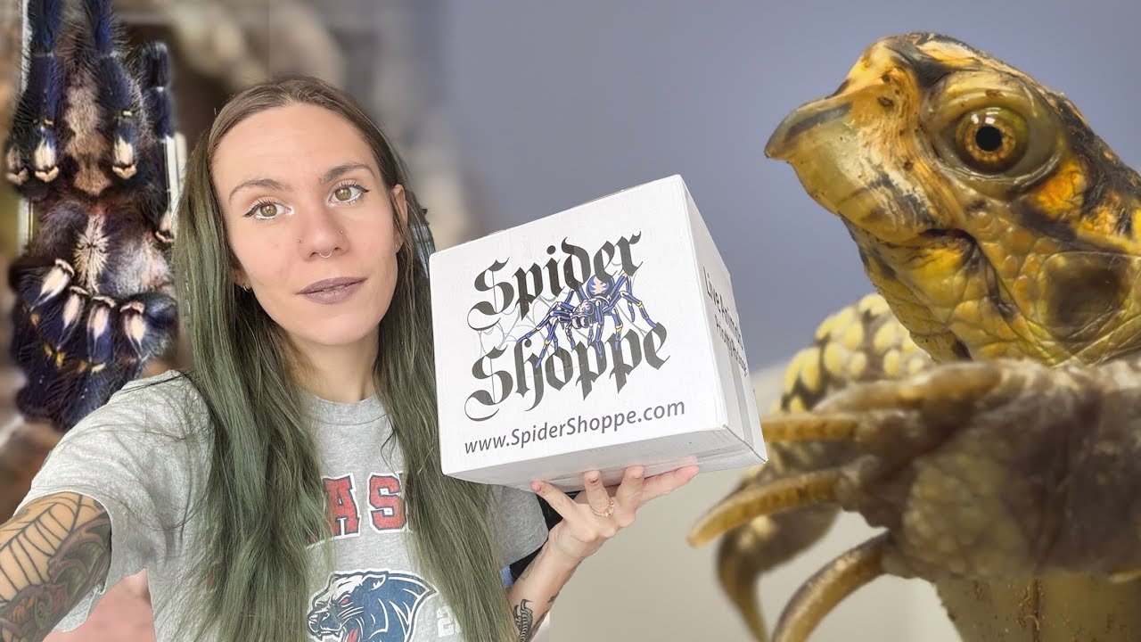 How Could Someone ABANDON These Animals?! + GIANT Pokie Enclosure Build! Vlog